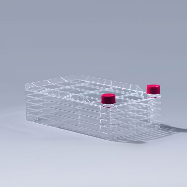 5 Layer Cell Factory, Box of 6, STE-Mart – STEMart