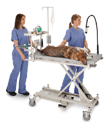 Pet operating table