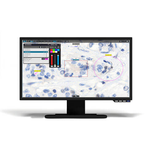 Analytical Software for Microscopy