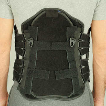 Back / Neck Support and Brace