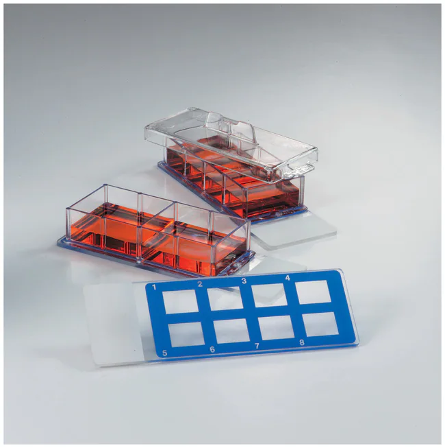Cell Culture Slide