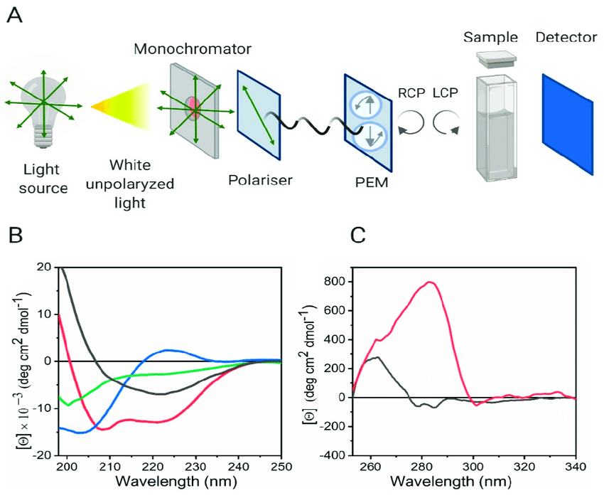 Circular Dichroism (CD) Technology