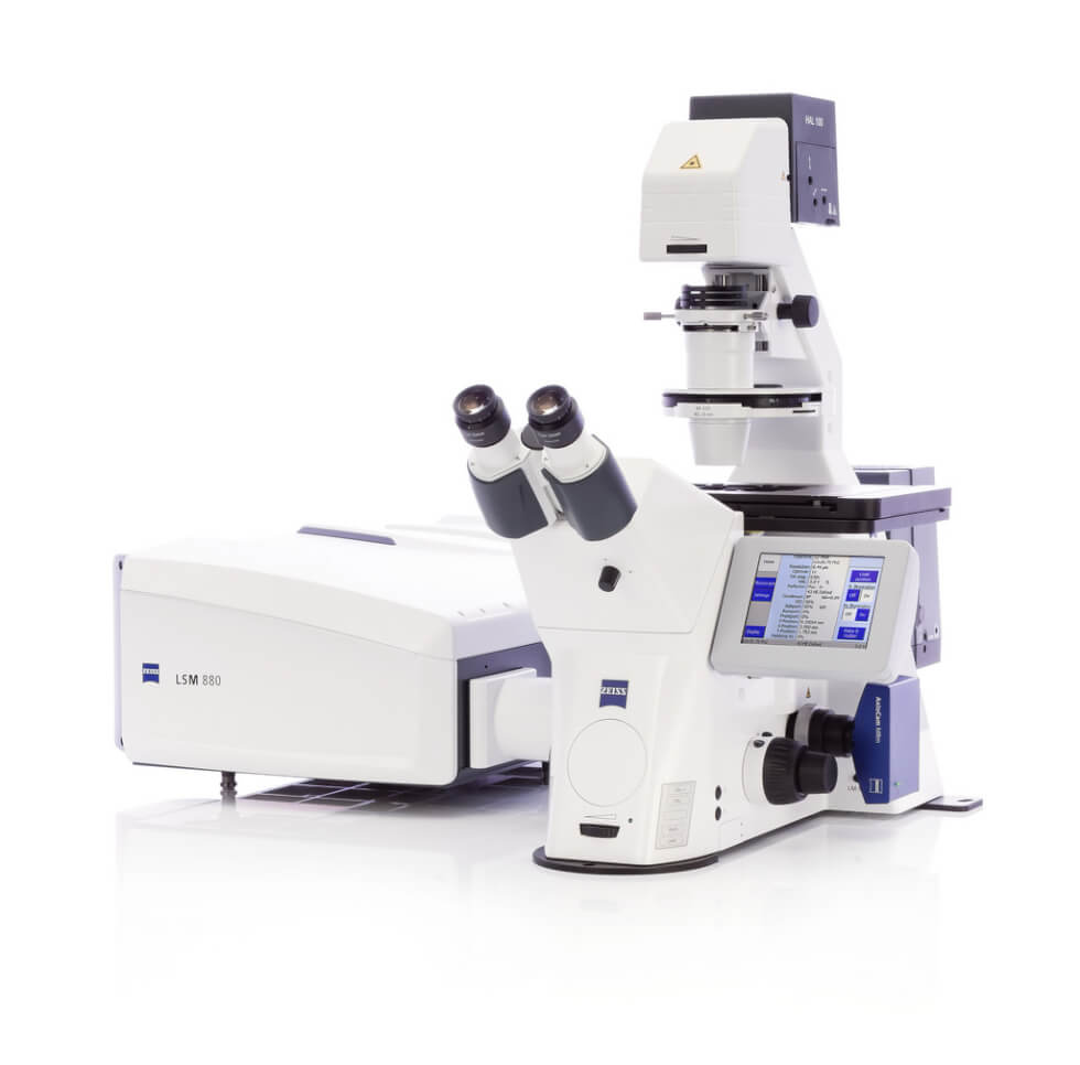 Confocal Microscope