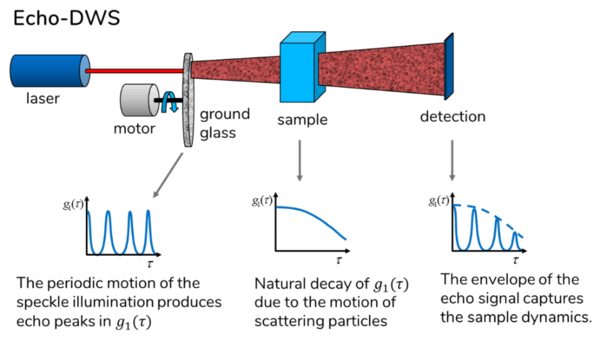 Diffusing Wave Spectroscopy (DWS) Technology