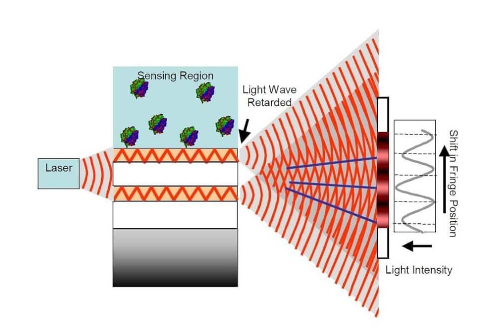 Dual Polarization Interferometry (DPI) Technology