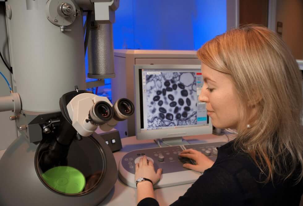 Electron Microscopy Technology