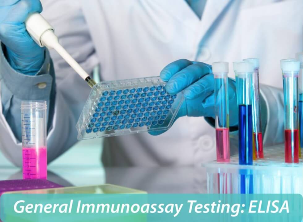 Enzyme-Linked Immunosorbent Assay (ELISA) Technology