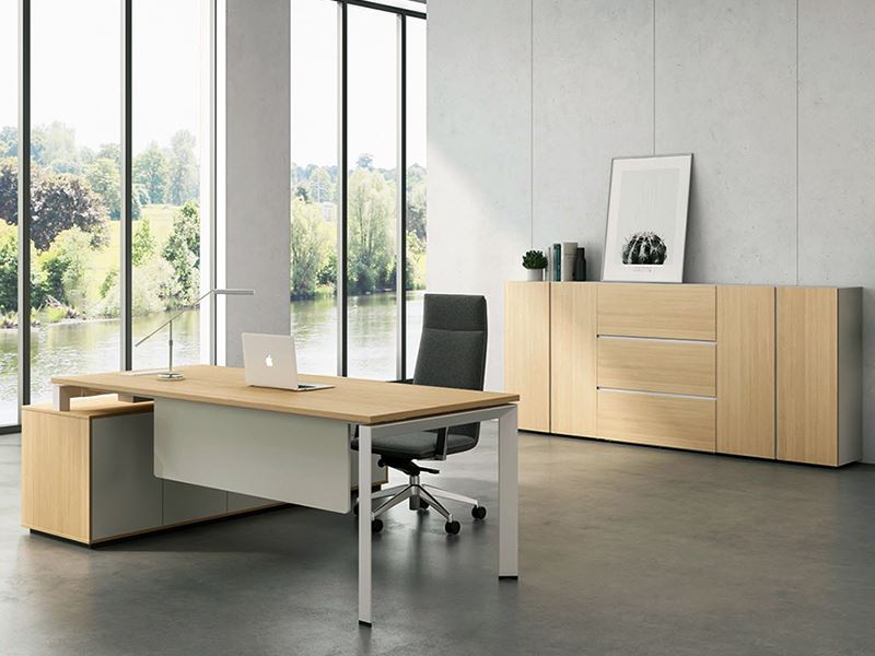 Executive/Office/Leisure Area Furniture