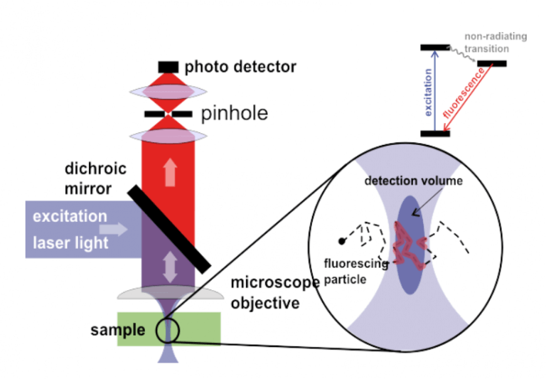 Fluorescence Correlation Spectroscopy (FCS) Technology