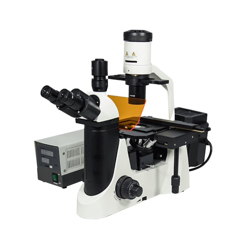 Fluorescence Microscope