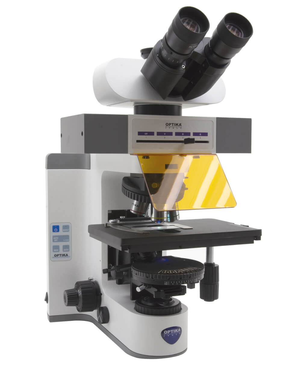 Fluorescence Microscopy