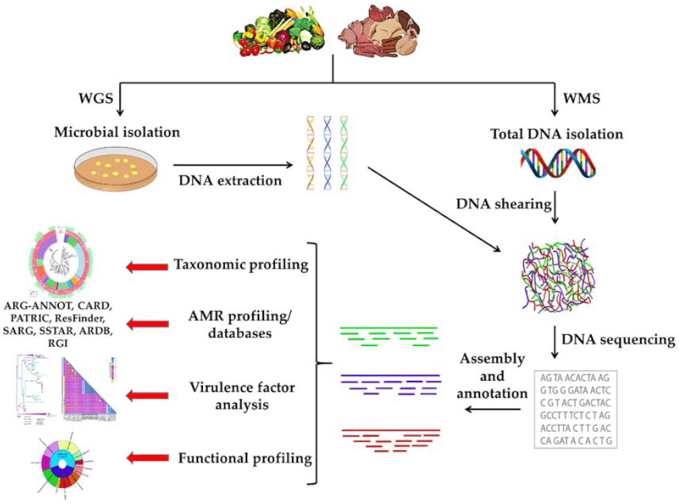 Gene Sequencing and Analysis