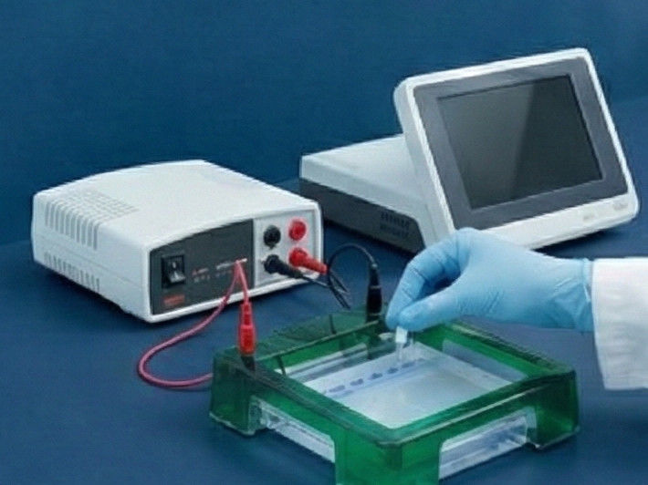 Electrophoresis Technology