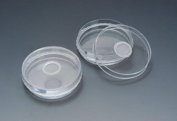 Insect Container
