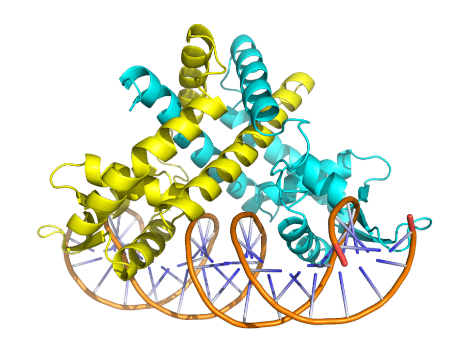 Intermolecular Interaction Detection