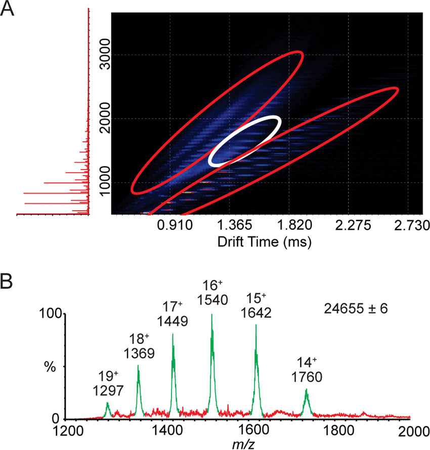 Ion Mobility Spectrometry–Mass Spectrometry (IMS-MS)