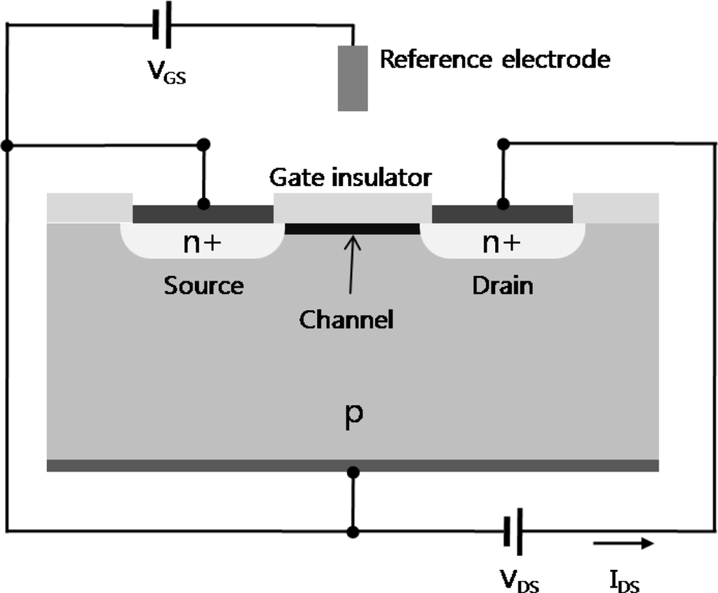 Ion-Sensitive Field-Effect Transistor Technology