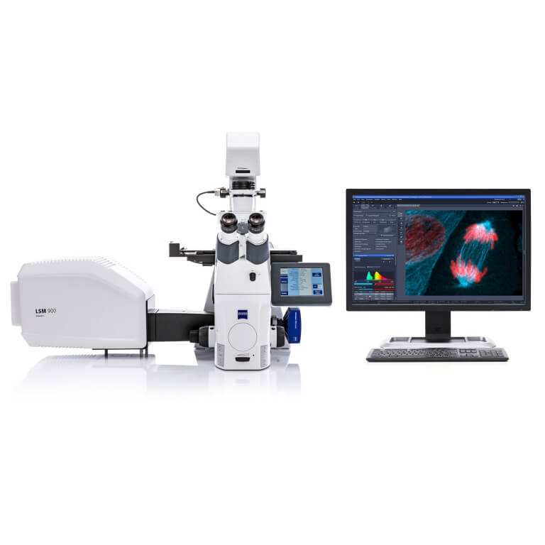 Laser Scanning Confocal Microscopy