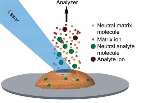 Matrix Assisted Laser Desorption Ionisation-Time of Flight (MALDI-TOF) Mass Spectrometry