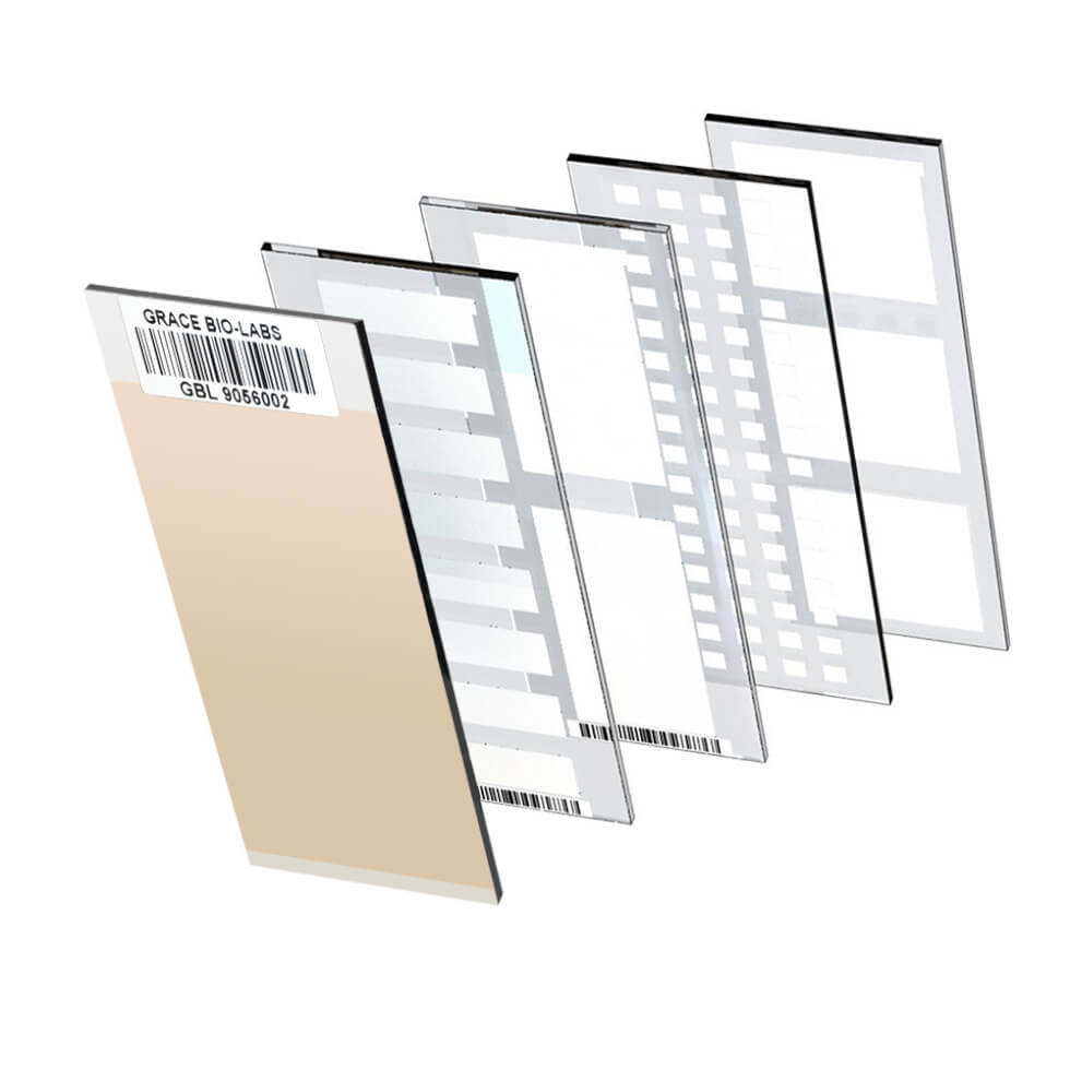 Microarray Slide