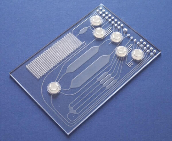 Microfluidic Chip