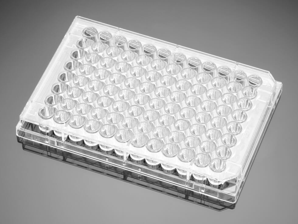 Microtiter Plate