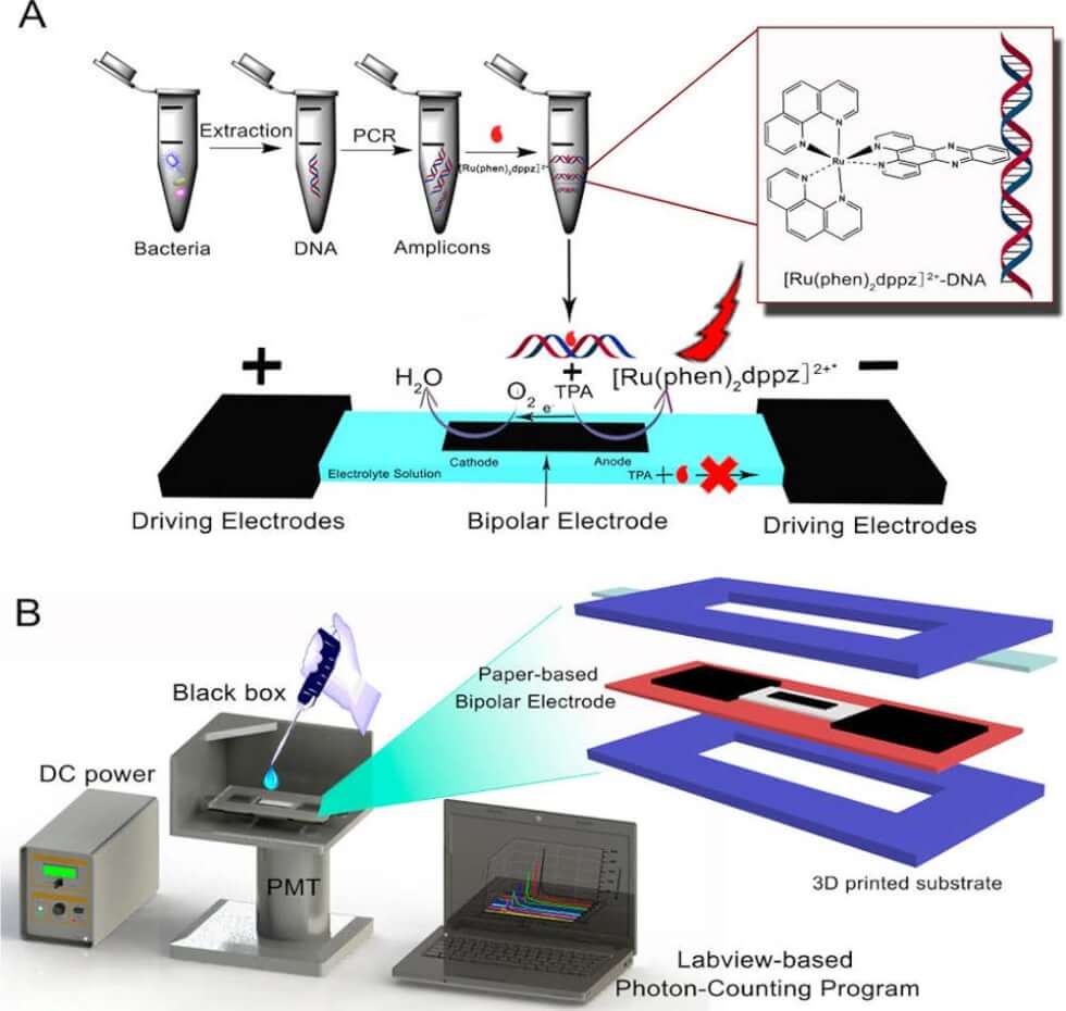 MSD Hypersensitive Multi-Factor Electrochemiluminescence Technology