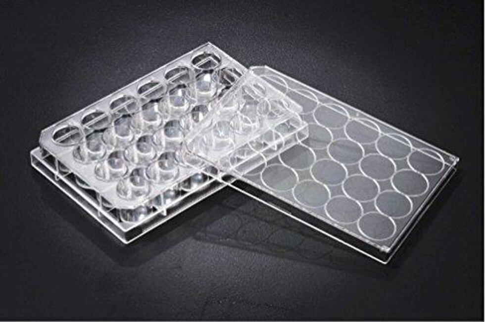 Multi-Well Tissue Culture Plate