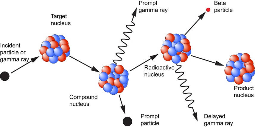 Neutron Activation Analysis (NAA)