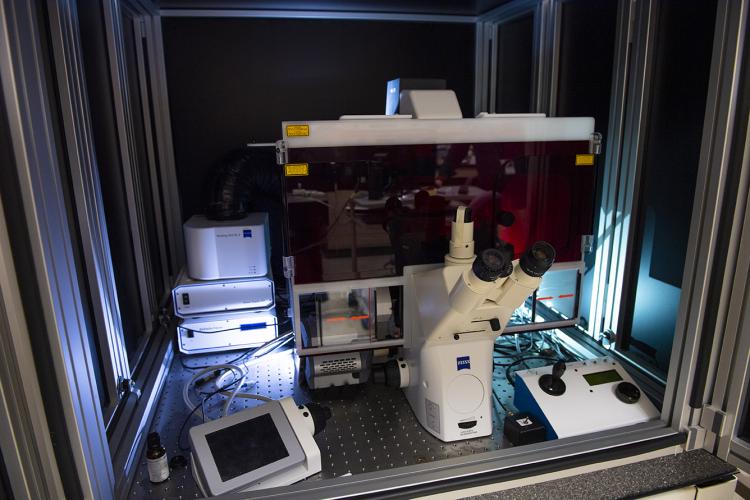 Photoactivated Localization Microscopy