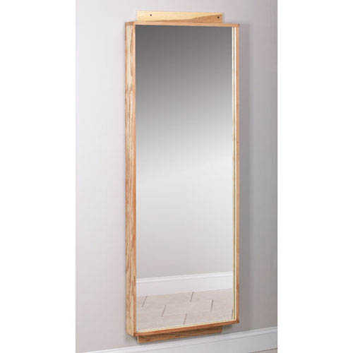 Physical Therapy Mirror