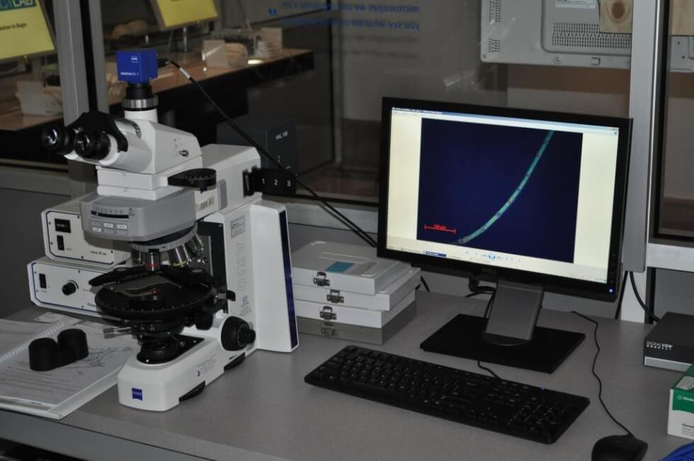 Polarized Light Microscopy