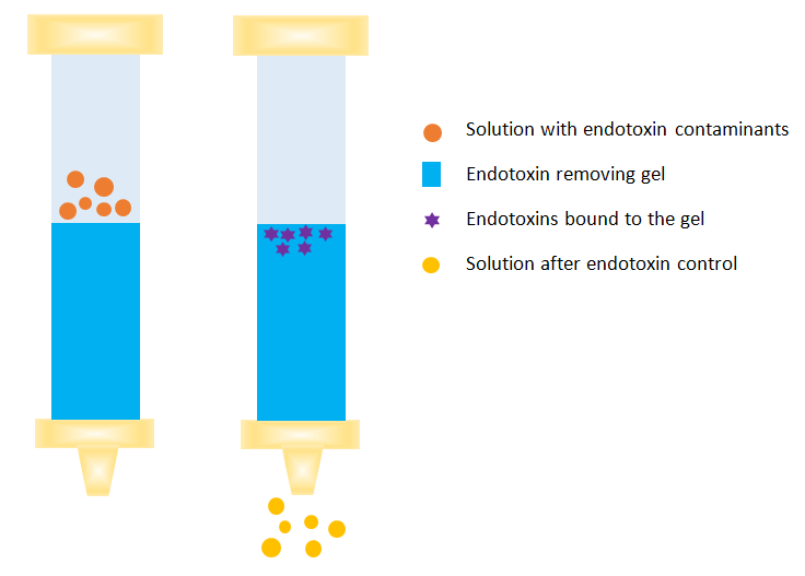 Protein Purification Technology