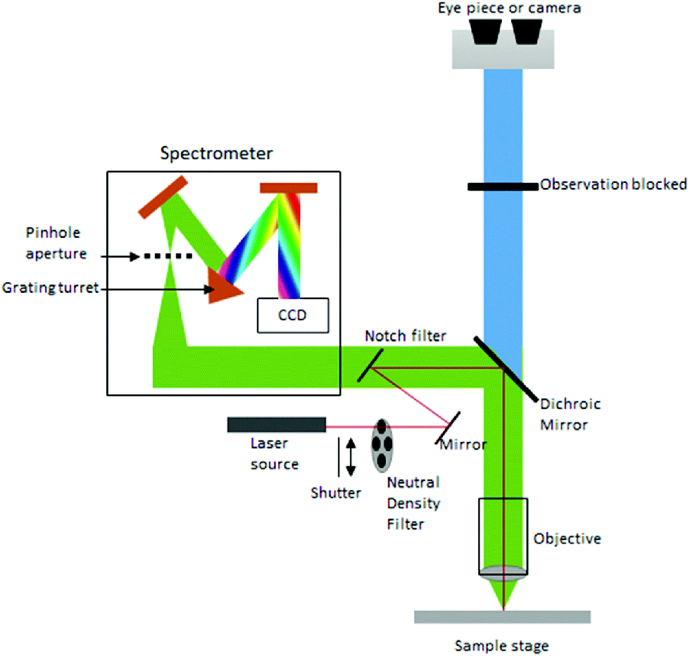 Raman Spectroscopy Technology