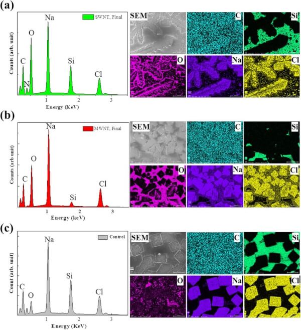 Scanning Electron Microscopy-Energy Dispersive Spectroscopy (SEM-EDS)