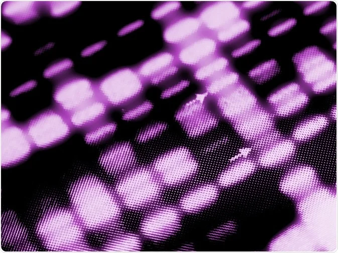 Southern Blot Technology