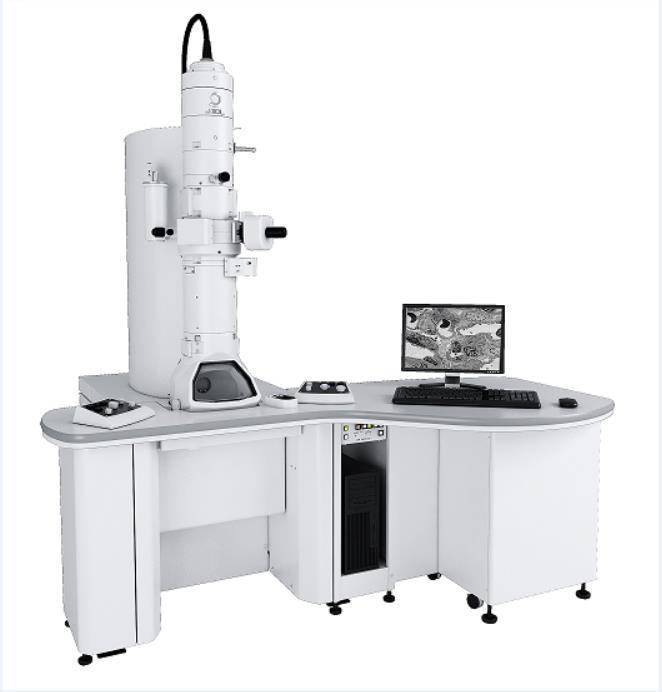 Transmission Electron Microscopy (TEM)