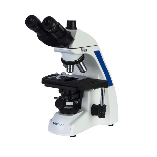 Upright Microscope