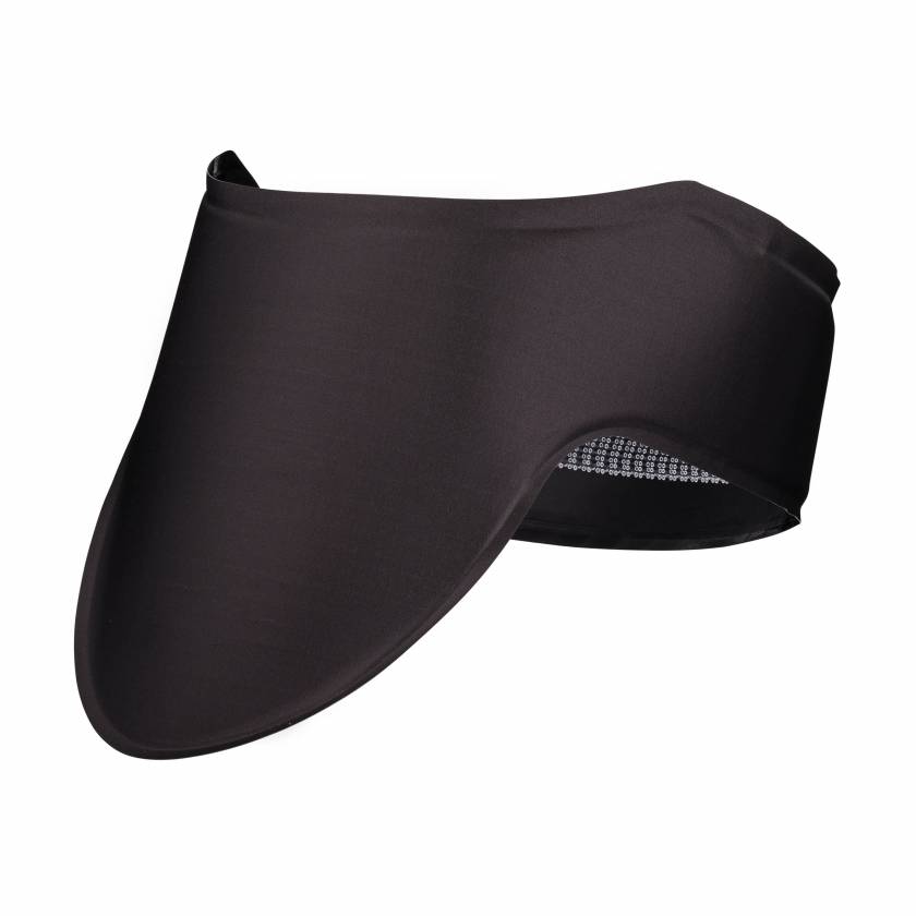 X-Ray Radiation Shield