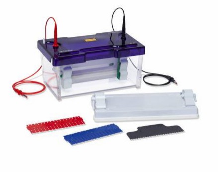 1-25-1-transcriptomics-6