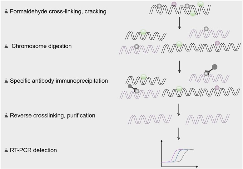 1-27-2-protein-nucleic-acid-interactions-1