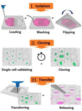 1-28-2-single-cell-hunter-10