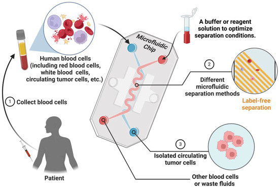 1-28-2-single-cell-hunter-6