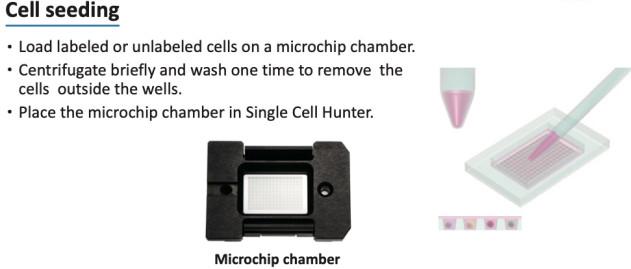 1-28-2-single-cell-hunter-8
