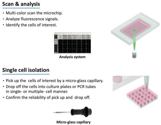 1-28-2-single-cell-hunter-9
