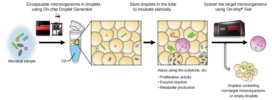 1-29-1-on-chip-generator-3
