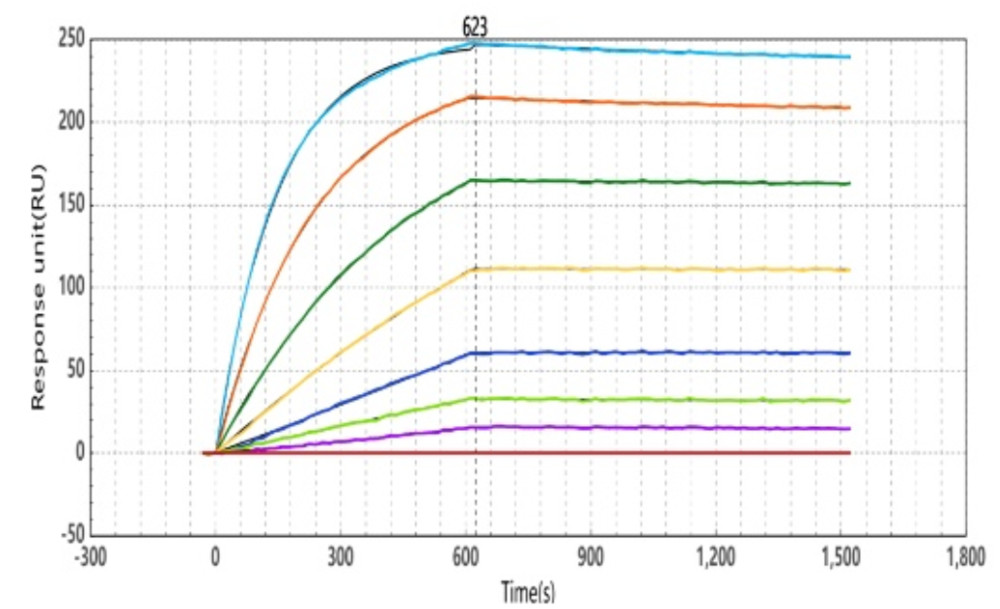 Protein A–IgG Binding Kinetics Measured by WeSPR 100X (STEMart Original)