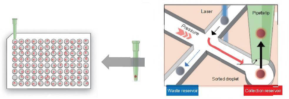 1-29-2-on-chip-droplet-selector-5