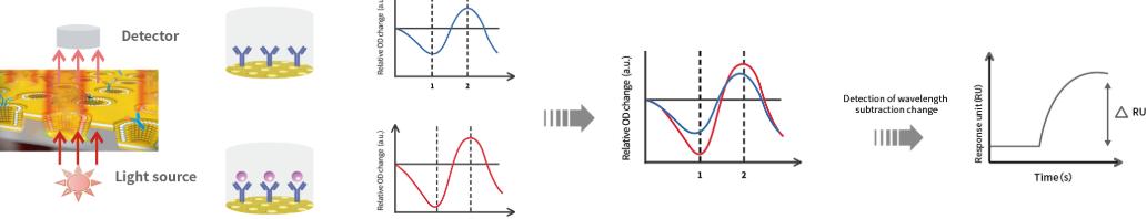 Diagram illustrating MetaSPR technology, showing how a light source and detector measure optical density changes on a 3D nanostructured metasurface chip to detect biomolecular interactions in real time. (STEMart Authorized)