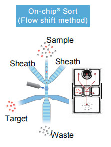 1-29-3-on-chip-sort -3
